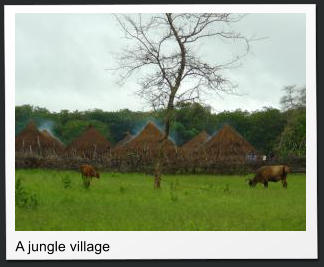 A jungle village